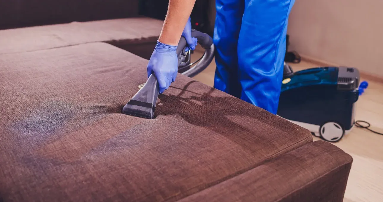 Sofá higienizado pela Cleanmania em São Paulo